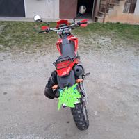 Beta Alp 4.0