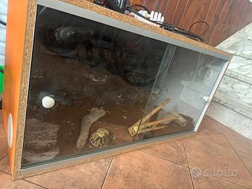 Teca per rettili 90x40x50