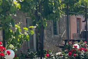 Rustico abitabile e oliveta secolare