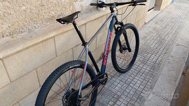 bottecchia gavia 29