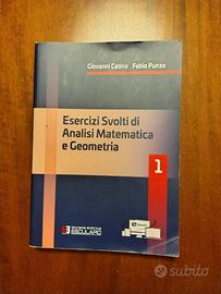 Esercizi svolti di analisi matematica e geometria