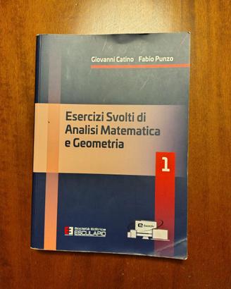 Esercizi svolti di analisi matematica e geometria