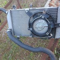 Radiatore Silverio wing 400 honda