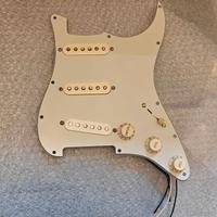 Battipenna full con pickup Fender 57/62 e Texas S.