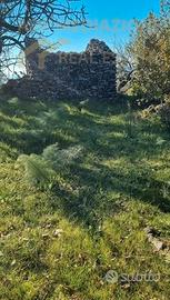 Terreno Agricolo Con Rudere