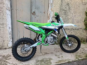 PITBIKE 150 THUNDER 17714