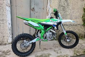 PITBIKE 150 THUNDER 17714