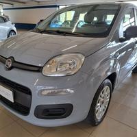 FIAT Panda III 2016 - Panda 1.2 Easy s&s 69cv my19