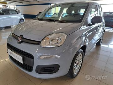 FIAT Panda III 2016 - Panda 1.2 Easy s&s 69cv my19