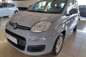 FIAT Panda III 2016 - Panda 1.2 Easy s&s 69cv my19