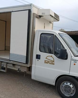 Fiat Ducato frigo Senza ATP 