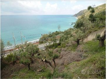 Terreno sul mare Pisciotta