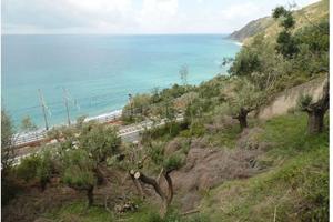 Terreno sul mare Pisciotta