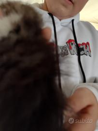 Femminuccia incrocio Maine coon