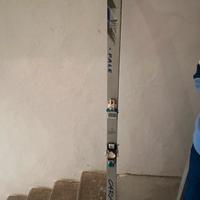 Sci PALE 205