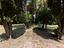 Immagine 12
