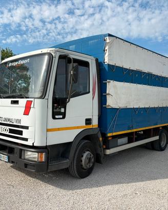 Iveco eurocargo 75e12 TRASPORTO ANIMALI