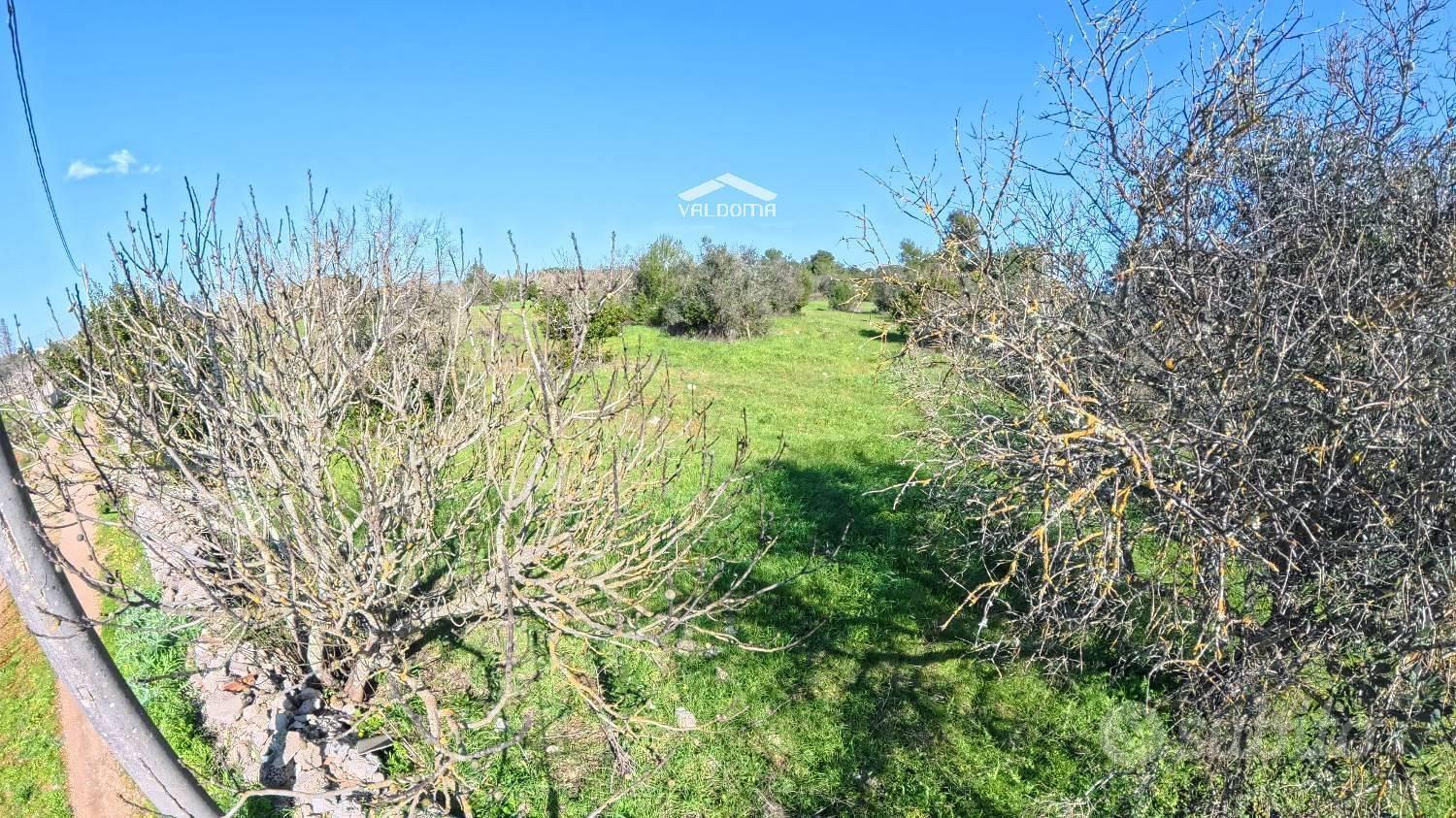 Terreno edificabile - Castrignano de' Greci - Vista 4
