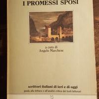 Libro I Promessi Sposi Alessandro Manzoni 