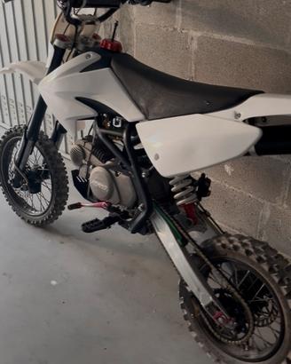 Pit bike 150 dream