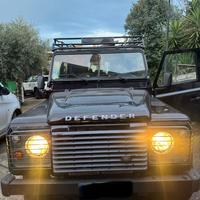 Defender