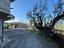 Immagine 29