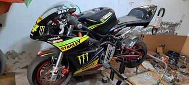 minimoto Dm con accessori