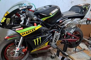 minimoto Dm con accessori