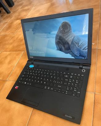 Toshiba Satellite C55D
