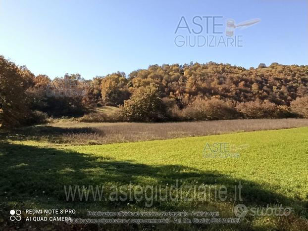 Terreno Agricolo Trivigliano [A4312556]