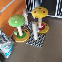 tiragraffi gatto