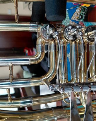 Tenor Horn (Flicorno Tenore)