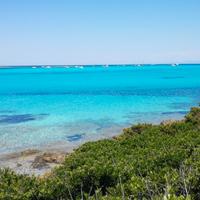 Stintino La Pelosa - Appartamento il Gabbiano