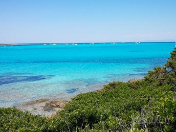 Stintino La Pelosa - Appartamento il Gabbiano