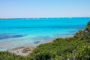 Stintino La Pelosa - Appartamento il Gabbiano