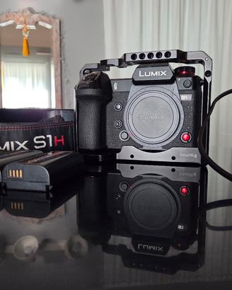Panasonic Lumix S1H