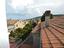 Immagine 10
