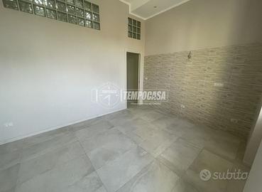 APPARTAMENTO RISTRUTTURATO CON AREA PERTINENZIALE