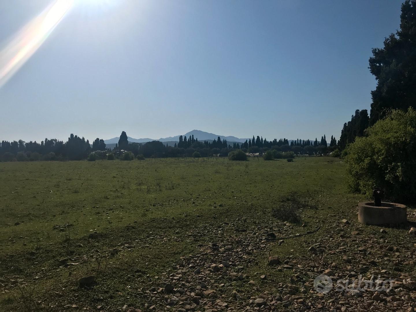 Terreno agricolo di mq 12500 edificabile - Vista 5
