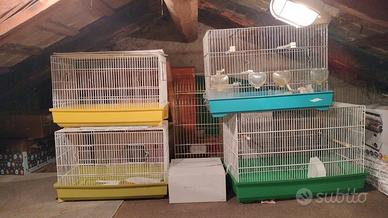 Gabbie per canarini.