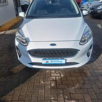 Ford Fiesta 1.5 TDCi 85 CV 3 porte Van Trend