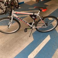 Bicicletta frejus