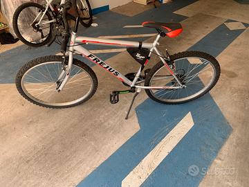 Bicicletta frejus