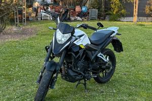 Motron X-Nord 125 2024