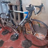 Colnago titanium art decor