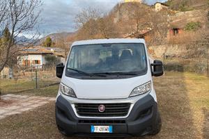 ducato