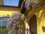 Immagine 19