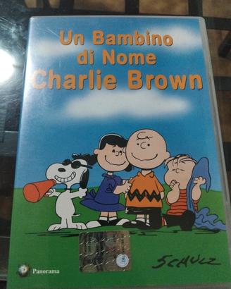 Un bambino di Nome Charlie Brown  dvd