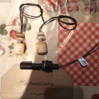 Interruttore galleggiante