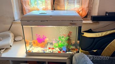 Acquario